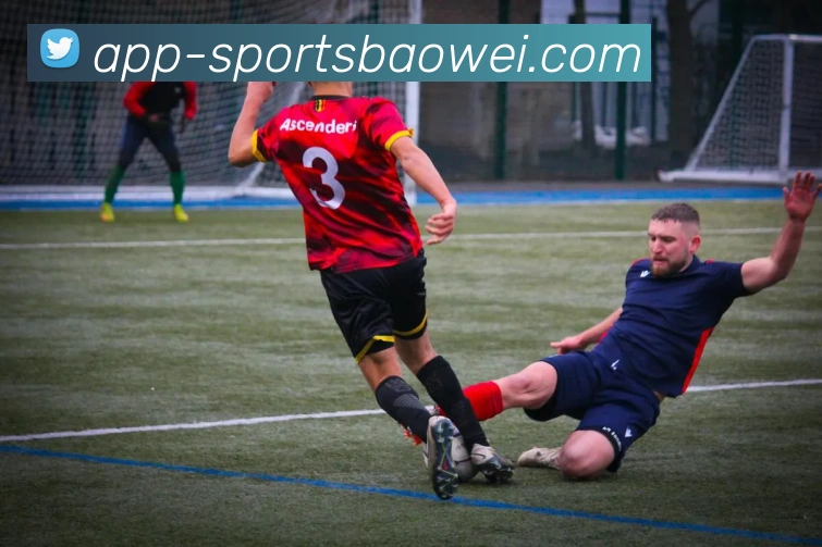 宝威体育平台生态图