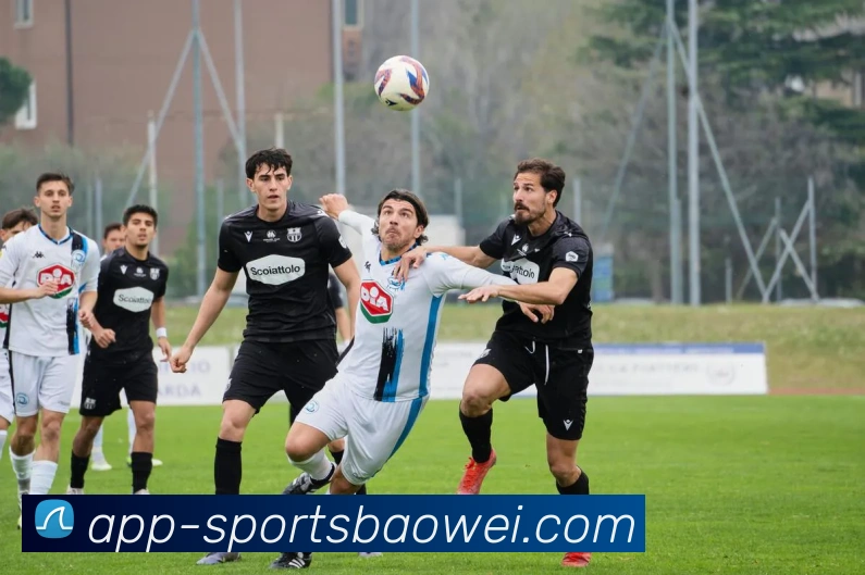 宝威体育APP 封面图